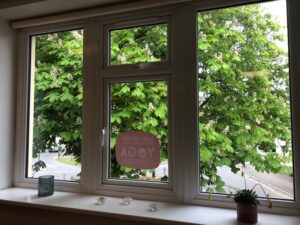 chestnut tree outside window