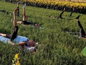 people doing yoga in a sunflower field